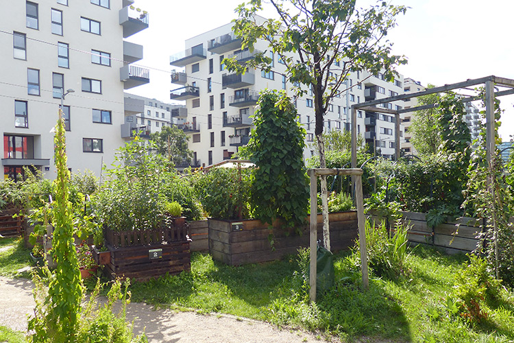 Gleis 21 Sonnwendviertel Helmut-Zilk-Park Sonnwendgarten